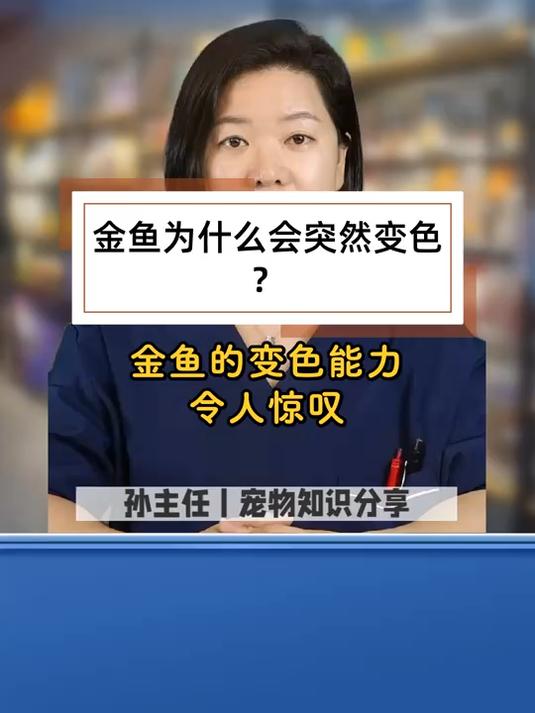 金鱼为什么会突然变色?