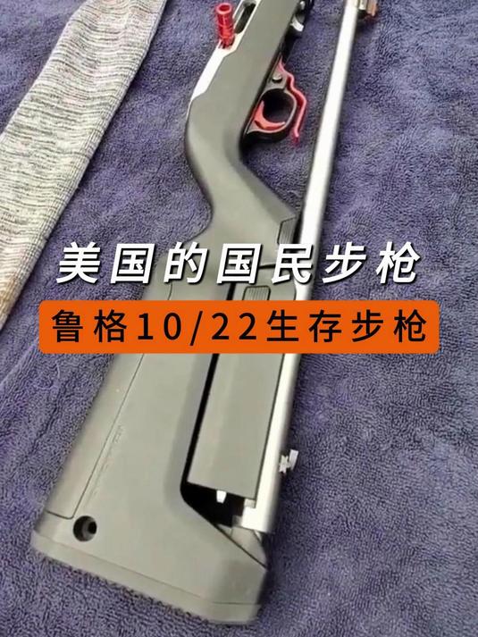 鲁格10/22生存步枪:被誉为美国国民步枪,是美国孩子第一支步枪