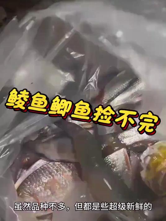 80后阿姨，海鲜市场鲫鱼鲮鱼捡不完