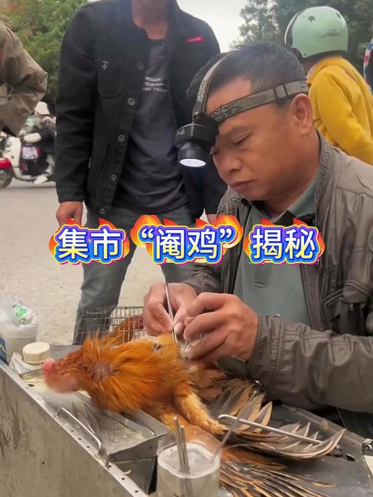 集市“阉鸡”揭秘：一刀下去，好处竟这么多！