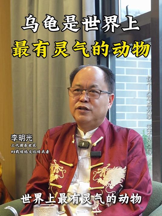 乌龟是世界上最灵气的动物 传统文化 人生道理 国学文化 国学智慧