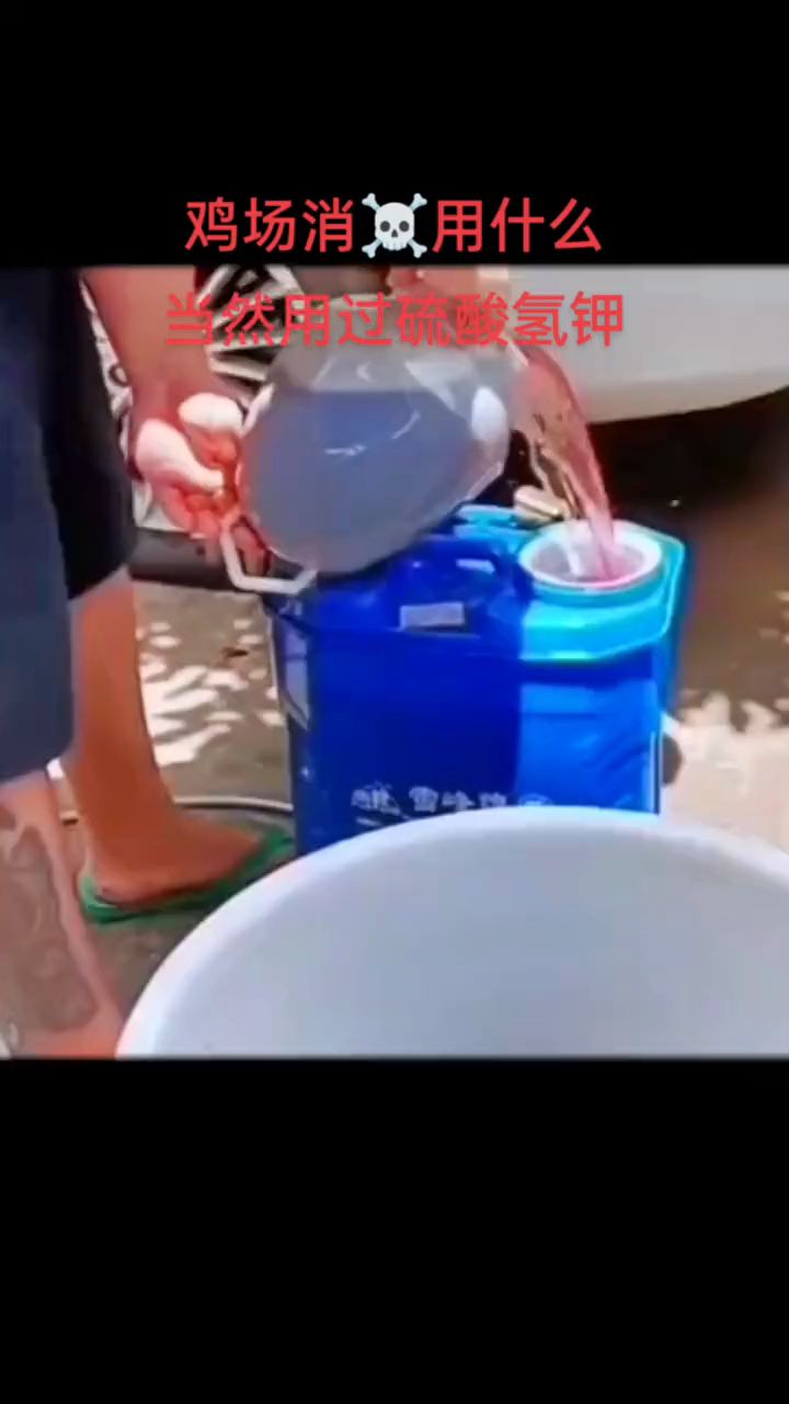 鸡场消毒用什么
