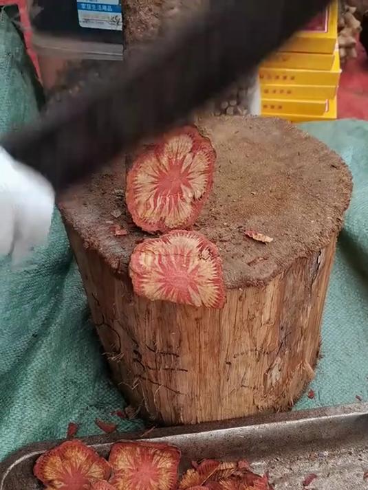 「血塞通」云南野生高品质红藤划算配比老树大血藤大红藤片!