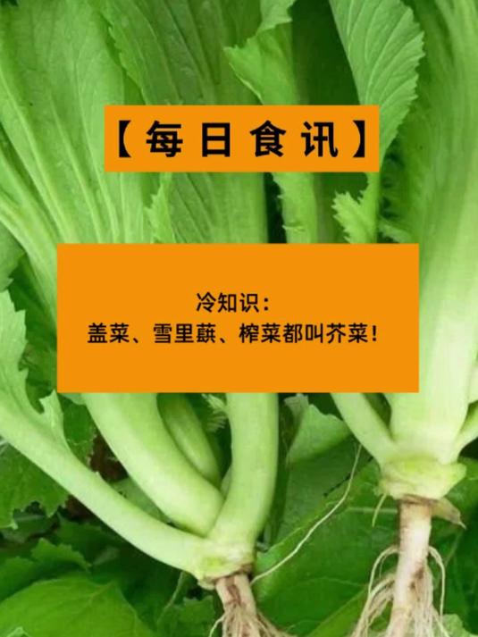 冷知识:盖菜、雪里蕻、榨菜都叫芥菜!