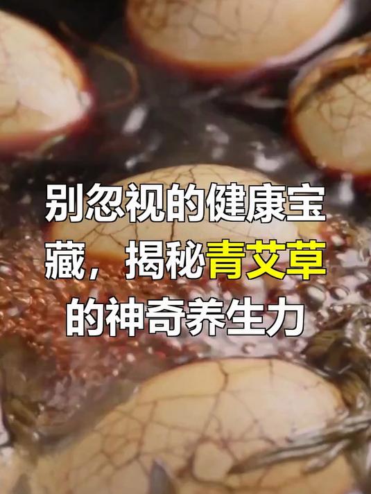 青艾草的功效与作用