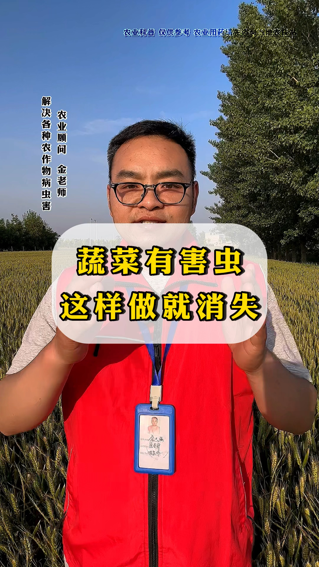 菜地里蜗牛用这方法轻松就能解决