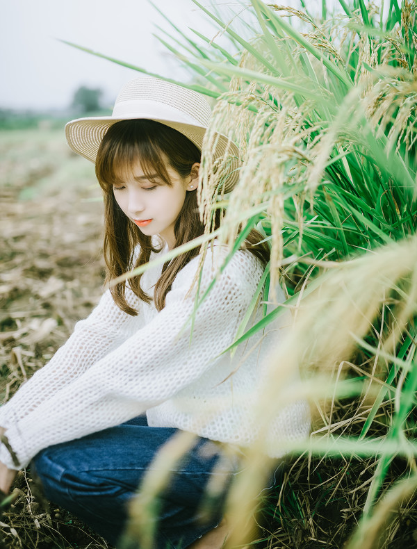 图片[5]-七里香-六色网