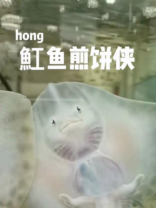 魟鱼煎饼侠