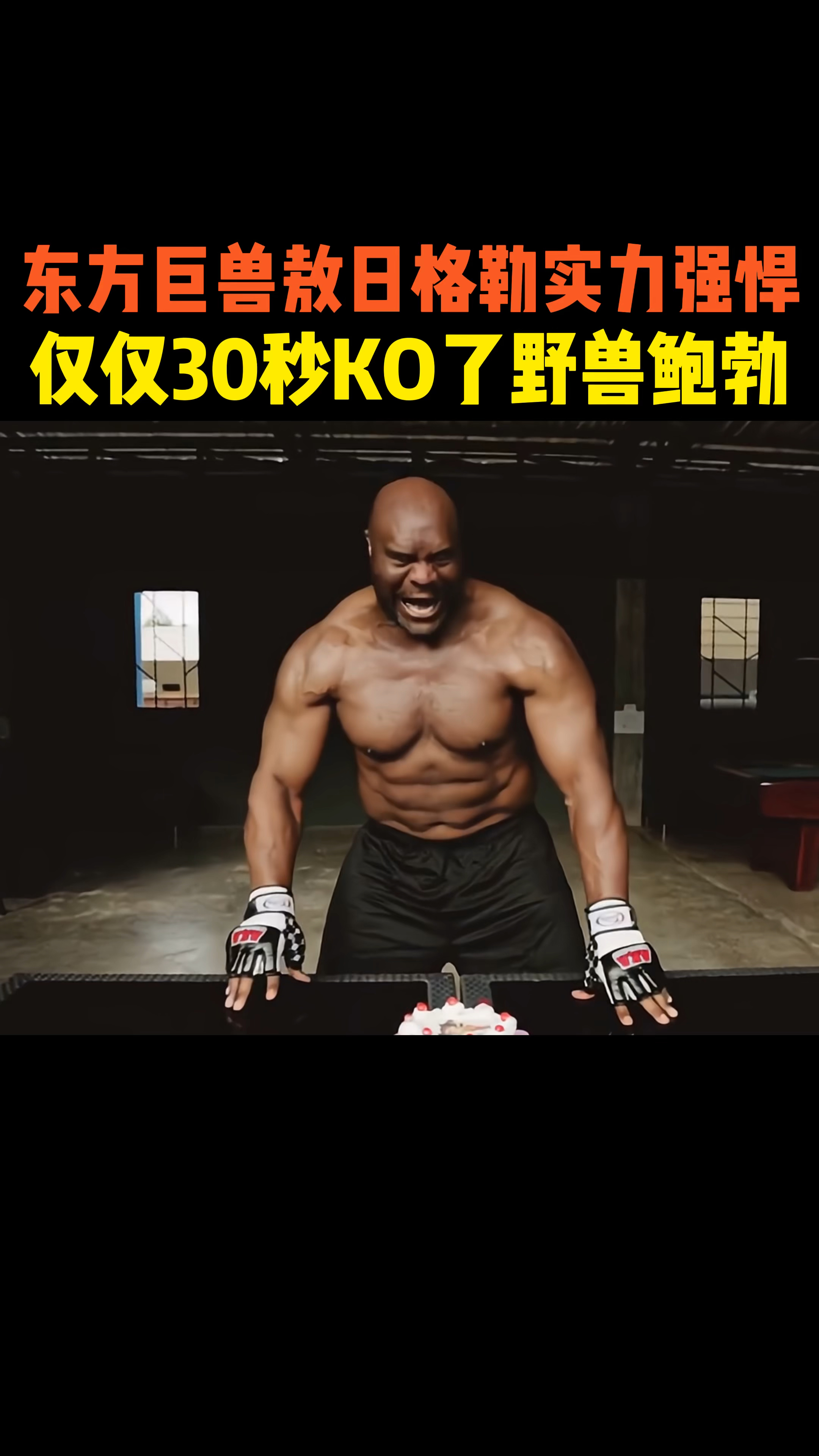 东方巨兽敖日格勒实力强悍,仅仅30秒KO了野兽鲍勃,比泰森还要猛