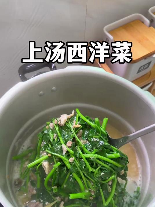 是谁还没喝过上汤西洋菜呢?吃腻了大鱼大肉,全靠这碗菜解腻!鲜,嫩,爽,一秒征服你的胃!#潮