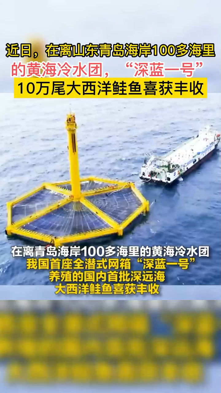 在离山东青岛海岸100多海里的黄海冷水团,“深蓝一号”10万尾大西洋鲑鱼喜获丰收