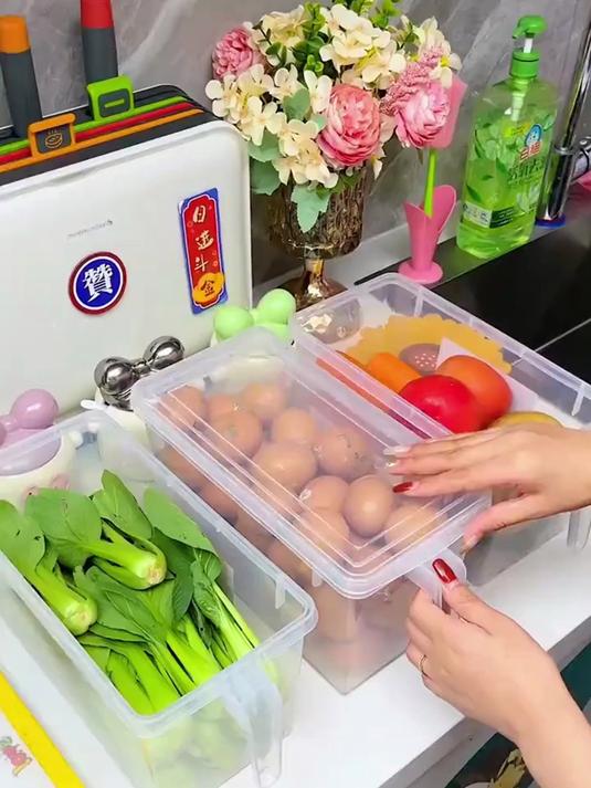 能装很多鸡蛋的保鲜盒,带手柄拿取方便,密封带盖能防尘