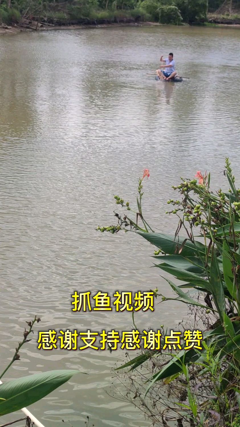 户外抓鱼视频