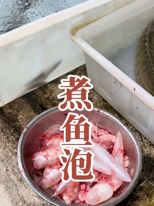 被人丢弃的鱼泡和鱼白,试试这样做你就知道有多好吃了
