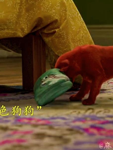 这是我见过最可爱的大狗狗