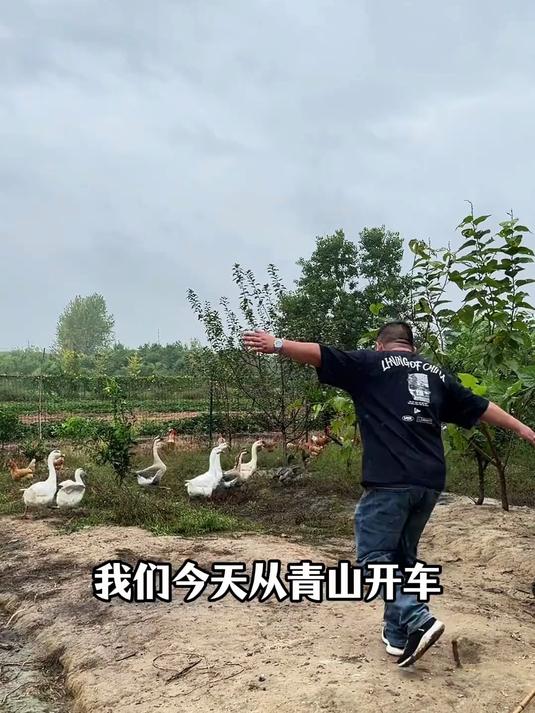 来黄陂吃柴火灶锅巴粥!铫子煨鸡汤!