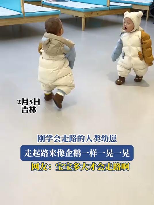 刚学会走路的人类幼崽,走起路来像企鹅一样一晃一晃