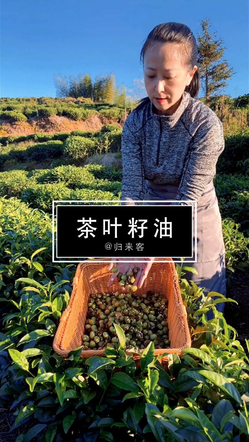 今天小姐姐教大家怎么制作山茶油