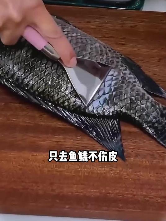 「9.9元2个」多功能不锈钢鱼鳞刨刮鱼鳞器手动打鱼刀厨房鱼鳞工具