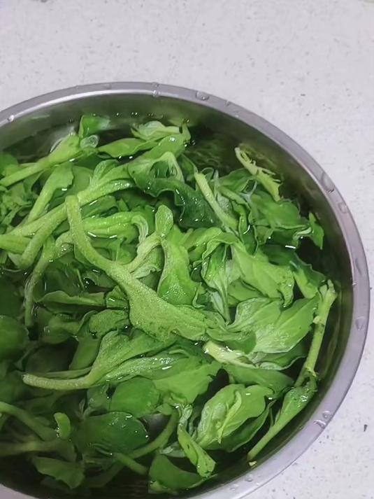 冰菜魅力难挡,富含天然养分,美容又滋补