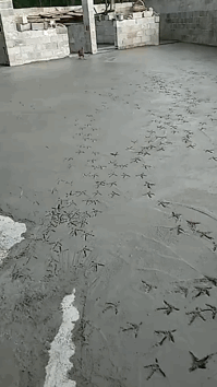 ��һ�ں���ͼ�Ʒ�ϵ�� ����Ǵ�˵�еľ�ͷ�аɣ�