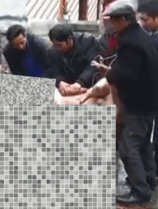 ��һ�ں���ͼ�Ʒ�ϵ�� ����Ǵ�˵�еľ�ͷ�аɣ�