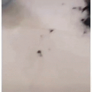 3DM����һ�̵�1622�� �������ʲô��Ϸ��ô�̼�