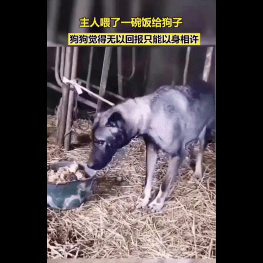 3DM����һ�̵�1622�� �������ʲô��Ϸ��ô�̼�