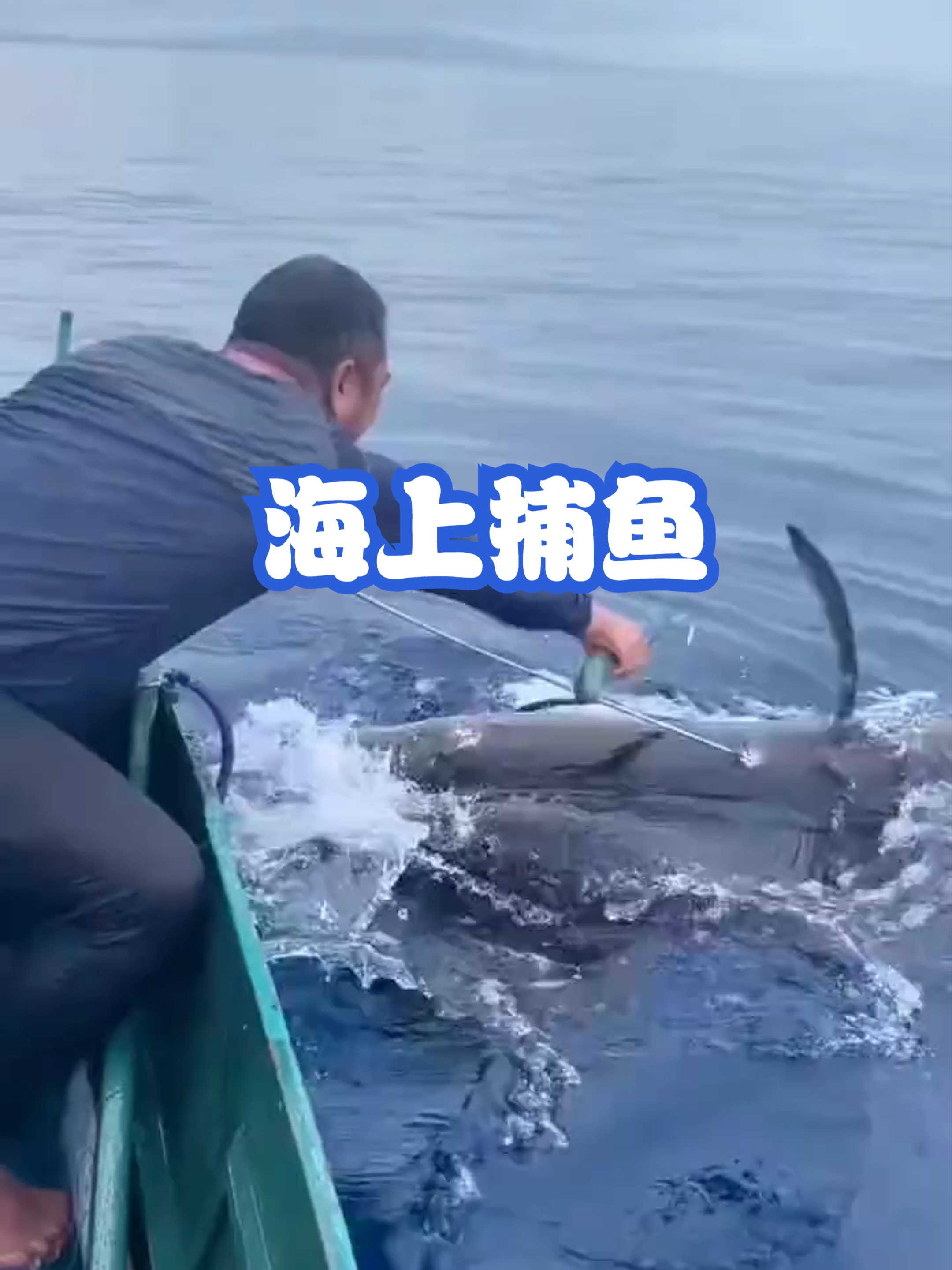 海上捕鱼