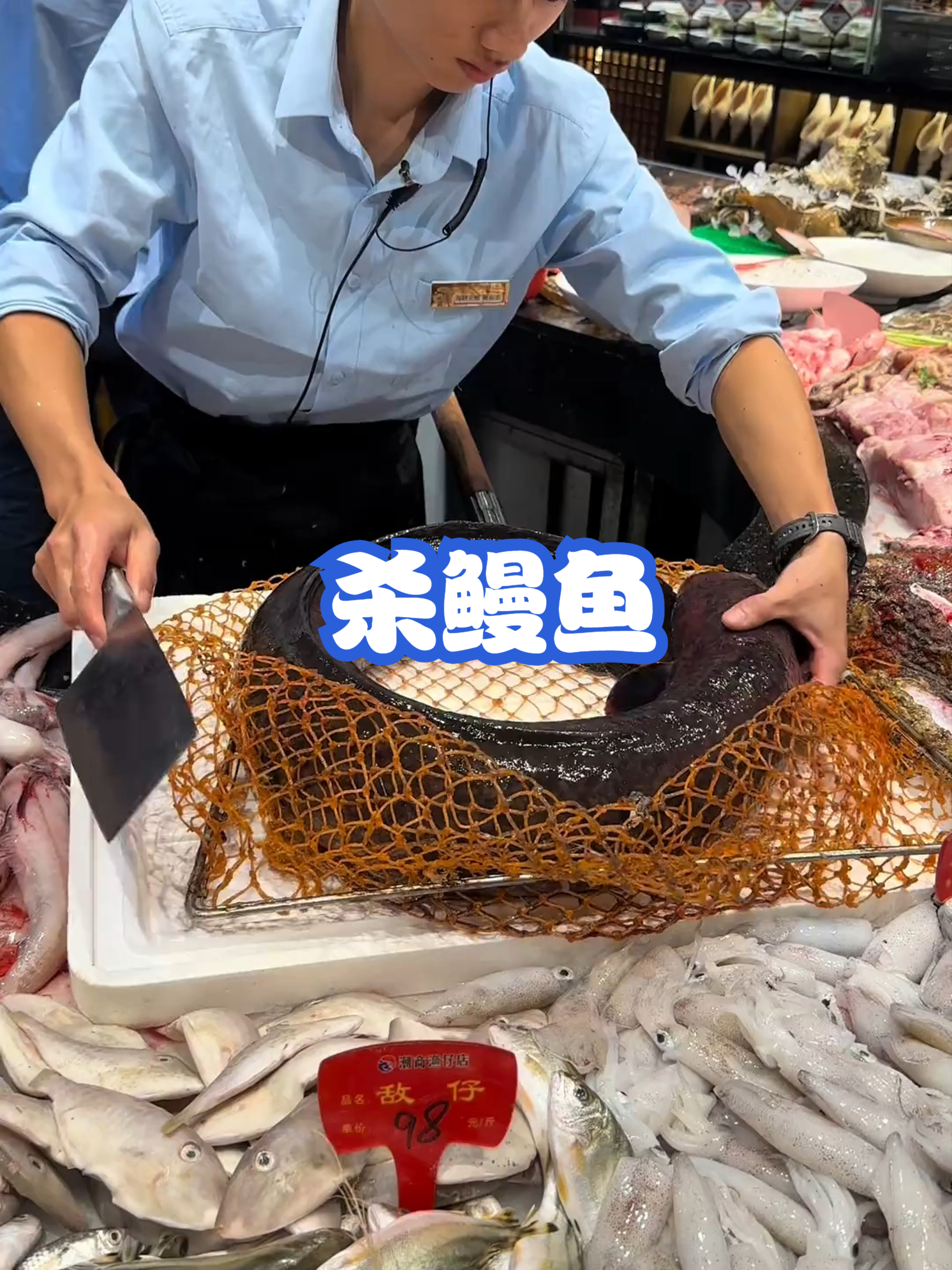 杀鳗鱼