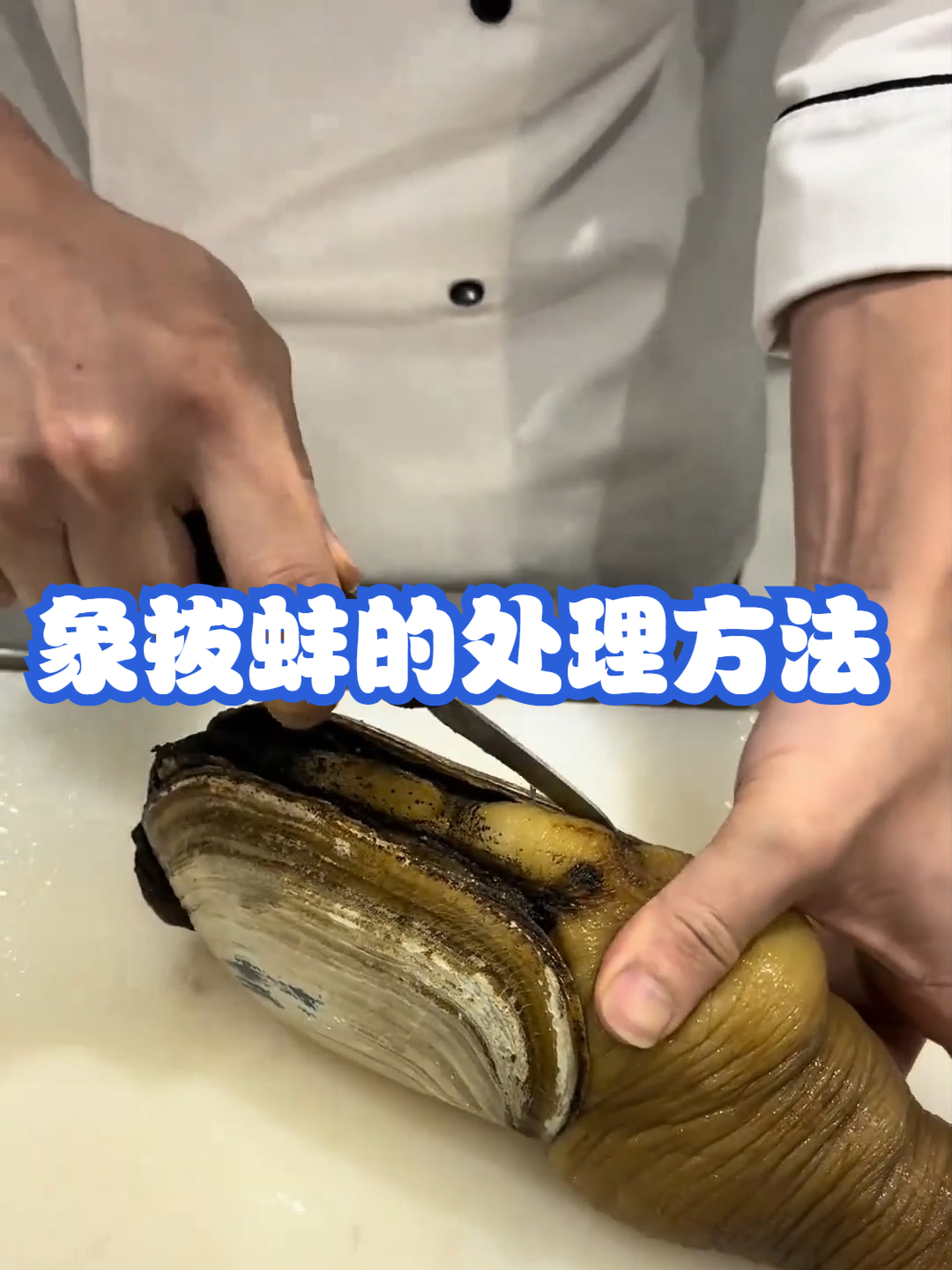 象拔蚌的处理方法