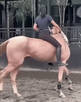 ��һ�ں���ͼ�Ʒ�ϵ�� ����Ǵ�˵�еľ�ͷ�аɣ�