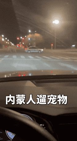 ��һ�ں���ͼ�Ʒ�ϵ�� ����Ǵ�˵�еľ�ͷ�аɣ�