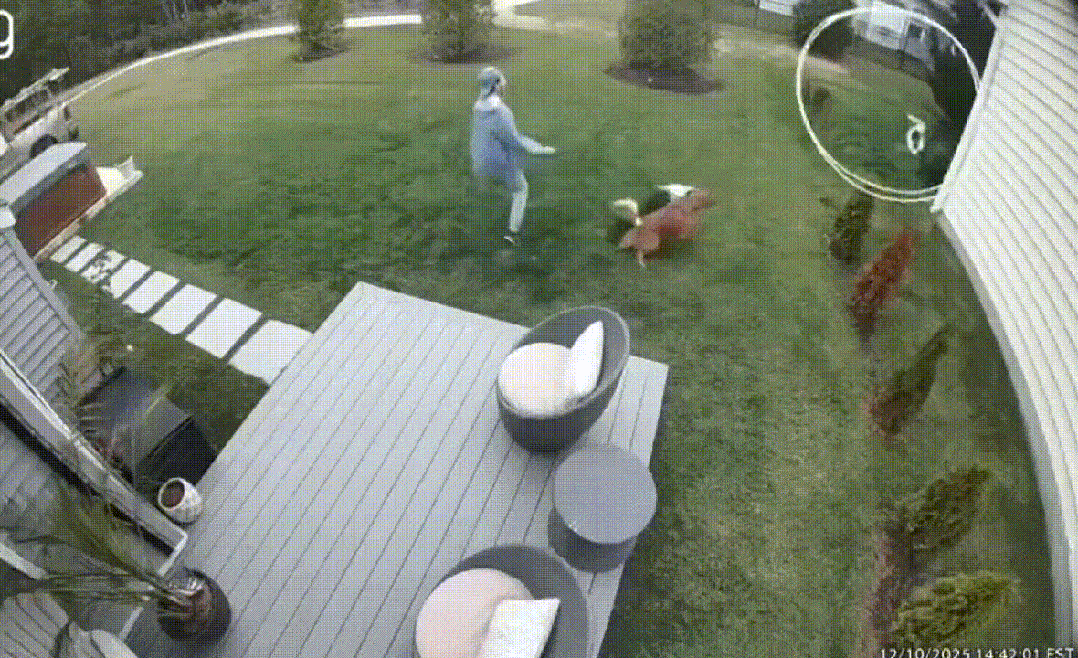 ���帣����ͼ�Ʒ�ϵ�� ��Ů��ˮ�����٤��ɶ˵��