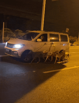 ��һ�ں���ͼ�Ʒ�ϵ�� ����Ǵ�˵�еľ�ͷ�аɣ�