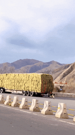 ��һ�ں���ͼ�Ʒ�ϵ�� ����Ǵ�˵�еľ�ͷ�аɣ�