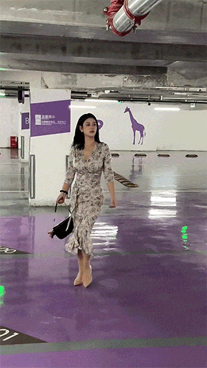 ���帣����ͼ�Ʒ�ϵ�� ��Ů��ˮ�����٤��ɶ˵��