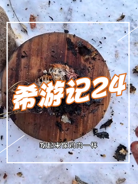 希游记24 木炉烤鱼