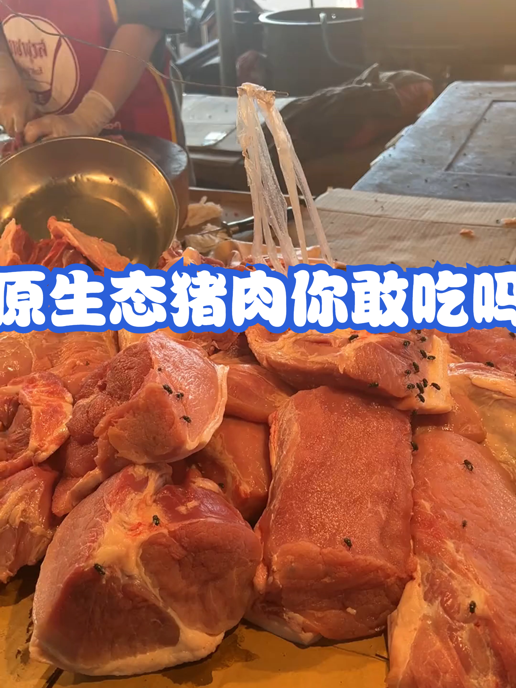 原生态猪肉你敢吃吗