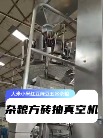 河北工厂/方砖型五谷杂粮抽真空机/大米小米红绿豆黑豆包装机