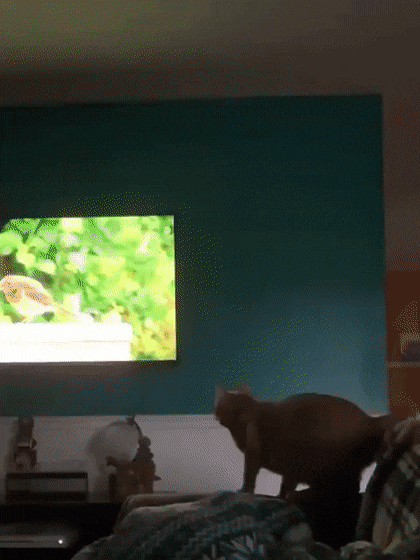 ��һ�ں���ͼ�Ʒ�ϵ�� ���˴��������ûŮ��ɶ��