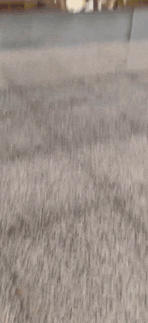 3DM����һ�̵�1628�� ��˾����Ů��ֵ��һȥ��