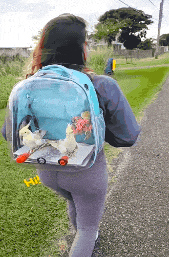 ��һ�ں���ͼ�Ʒ�ϵ�� ���˴��������ûŮ��ɶ��