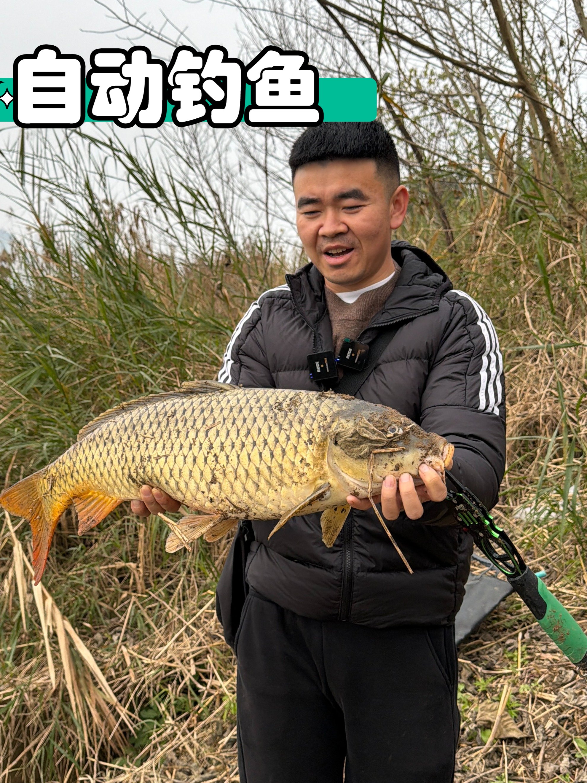 手线欧鲤钓，冬季中鱼率居然更高，无需守钓自动钓鱼，远程报警