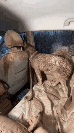 ���帣����ͼ�Ʒ�ϵ�� �࿴��Ů�������Ľ�����