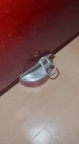 ��һ�ں���ͼ�Ʒ�ϵ�� ��Ϸ��Ů��Ҳ�ǿ��Լ�õ�