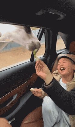 3DM����һ�̵�1631�� �ҳ��������ձ��¿�ˮ��