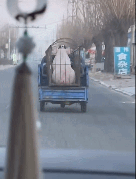 ��һ�ں���ͼ�Ʒ�ϵ�� ��Ϸ��Ů��Ҳ�ǿ��Լ�õ�