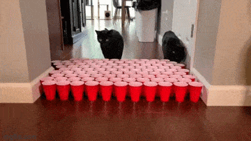 ��һ�ں���ͼ�Ʒ�ϵ�� ��Ϸ��Ů��Ҳ�ǿ��Լ�õ�