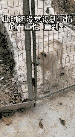 ��һ�ں���ͼ�Ʒ�ϵ�� ��Ϸ��Ů��Ҳ�ǿ��Լ�õ�